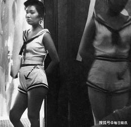 日本性片大全,一部大全的深度解析