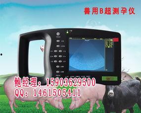 av超声是什么,揭秘现代医学影像技术的神奇魅力