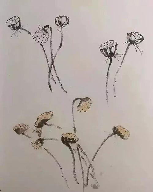 国画教程视频,从入门到精通