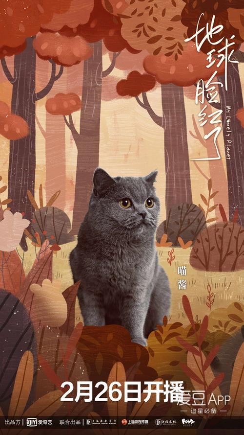 地球脸红了全部免费观看,免费全景直播，揭秘神秘自然现象