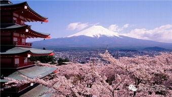 日本天堂2016,梦幻世界的奇幻之旅回顾