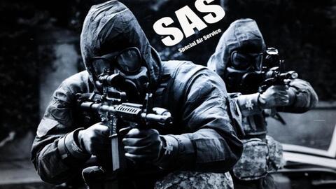 sas 视频,揭秘数据分析与商业智能的奥秘