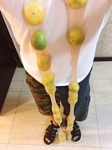 丝袜戏弄影评,一场视觉与心理的双重盛宴