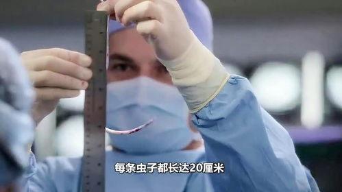 肛门av网站,一场关于成人内容的深度探讨