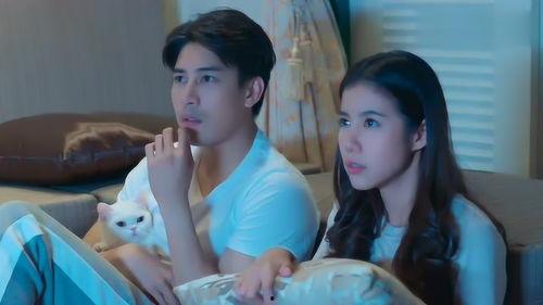 一喵定情在线观看免费,萌宠奇缘，甜蜜邂逅免费在线观看