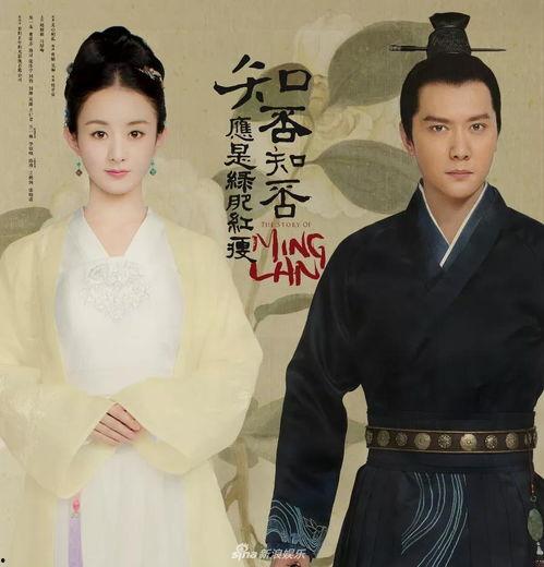 知否应是绿肥DVD免费观看