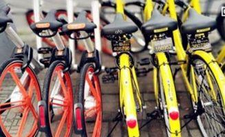 深圳共享单车爆料视频,一窥城市绿色出行背后的真相