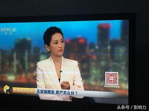 中央2台在线直播观看