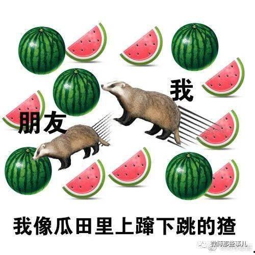 娱乐大晨吃瓜,揭秘娱乐圈最新吃瓜事件，带你领略明星幕后故事